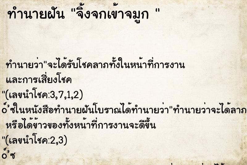 ทำนายฝันทำนายฝันจิ้งจกเข้าจมูก